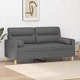 SECOLI Sofa 2 sitzer mit Zierkissen Sofa 2er Couch 2 sitzer 2er Couch Stoff Sofa Sofa 2 sitzer klein für Wohnzimmer/Schlafzimmer/Büro/Wohnung-Dunkelgrau-2-sitzer:140cm