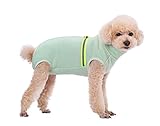 BT Bear Winterkleidung für kleine Hunde, weiches Fleece mit reflektierender Weste, Hunde-Sweatshirt, warme Jacke, Mantel, Bekleidung, Haustier-Pyjama (Mintgrün, L)