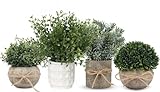 YVONNEYI 4 Stück Künstliche Pflanzen, Mini Kunstpflanze, Künstliche Pflanzen Plastik für Schlafzimmer Badezimmer Küchen Zuhause Innen Deko