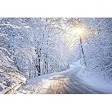 Wald Schnee Hintergrund 220x150cm Winter Sonnenschein verschneit Szene Hintergrund Weihnachten 3D Outdoor Schnee Trail Fotografie Hintergrund für Fotoshooting Neujahr Party Dekor