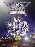 Aerosmith - Rock Donington 2014 [OV]