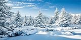 BELECO 6 x 3 m Stoff Winter Schnee Wald Hintergrund Weiß Weihnachtsbäume Winterszene Alpen Fotografie Hintergrund für Weihnachten Neujahr Event Party Dekorationen Banner Urlaub Foto Requisiten