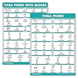 Palace Learning Yoga-Posen Poster + Yoga-Positionen mit Yoga-Block – Yoga-Positionstabellen für Anfänger – Englische und Sanskrit-Namen (45,7 x 61 cm, laminiert)