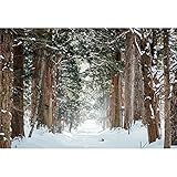 OFILA 3x2m Winterwald Hintergrund Große Bäume Fotografie Hintergrund Schnee Wald Hintergrund Outdoor Schnee Landschaft Hintergrund Natur Landschaft Hintergrund Weihnachten Dekor Hintergrund