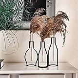 Generisch MB Living Metall Glasvase 3er Set, Vase für Pampasgras, Metallrahmen, schwarz, Tischdeko, Glasvase, moderne Vintage-Blumenvase, Dekoration für Wohnzimmer, Schlafzimmer oder Küche