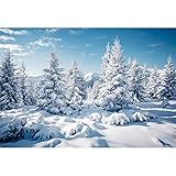 Winter Schnee Hintergrund 220x150cm Kiefer Wald Schnee Berg verschneit Landschaft Fotografie Hintergrund Winterurlaub im Freien Wald Schnee Hintergründe für Weihnachten Dekor