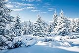 BELECO 1,5 x 0,9 m Stoff Winter Schnee Wald Hintergrund Majestätischer weißer Weihnachtsbaum winterliche Szene Alpen Fotografie Hintergrund für Weihnachten Neujahr Event Party Dekorationen Urlaub Foto