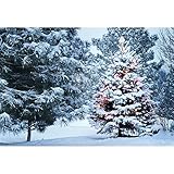 220x150cm Winter Backdrop Winter Wald Schnee Landschaft Fotografie Hintergrund Weihnachten Natürliche Schneelandschaft Fotografie Hintergrund Studio Portrait Photo Booth Prop