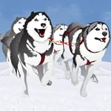 Hundeschlittenfahrten im Winter Rennen: der Hund kaltes Eis Schlitten im Nordpol - Gratis-Edition